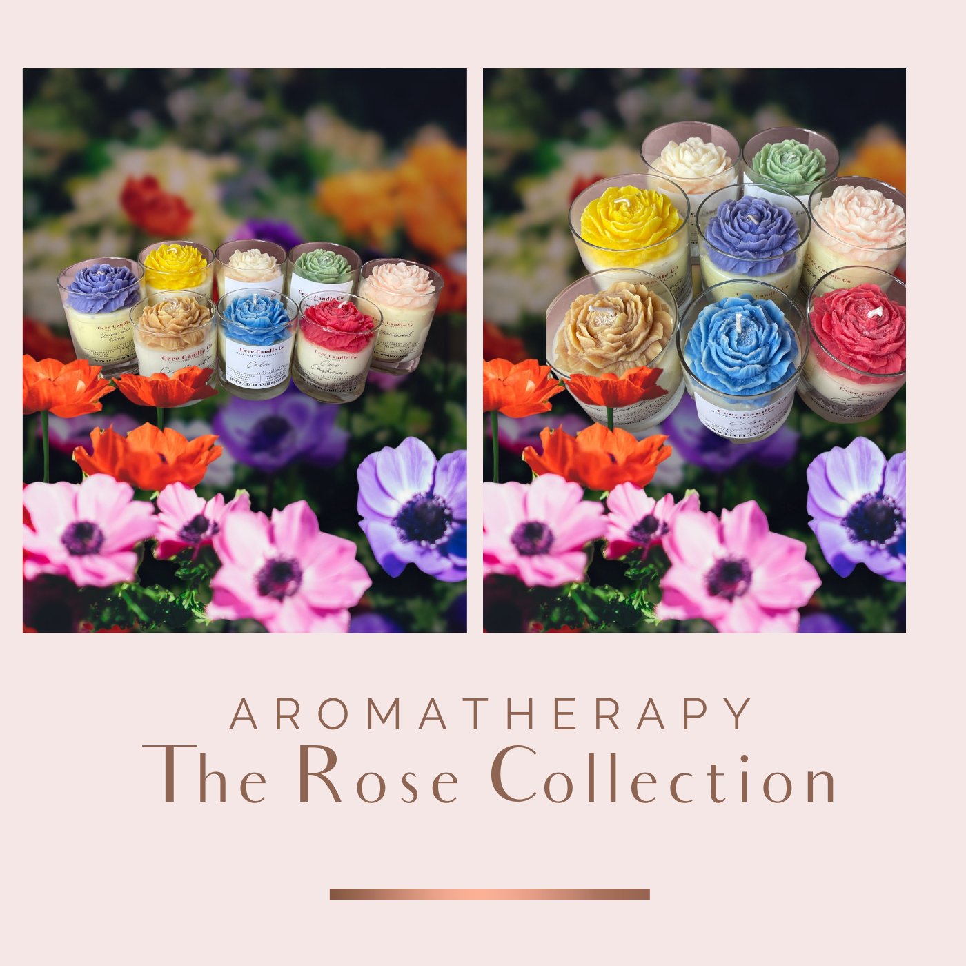 The Rose Collection